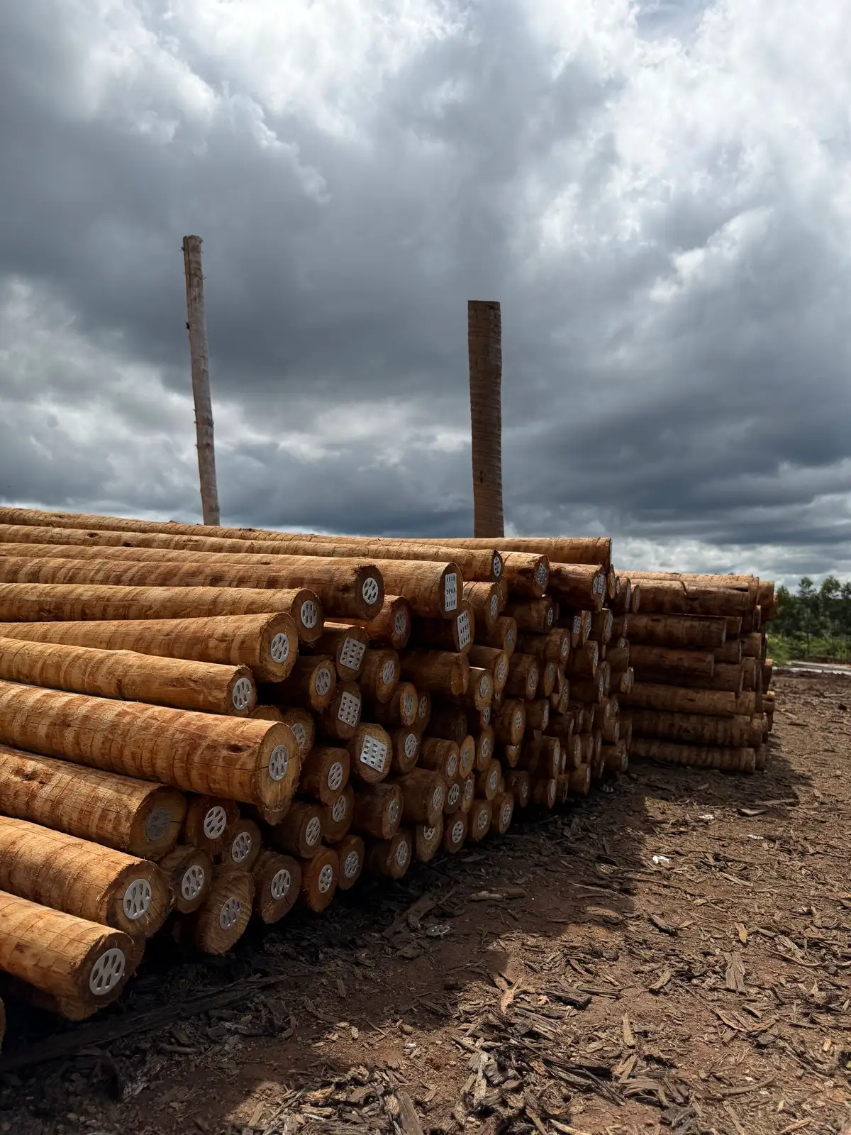 Aplicações em construção rural